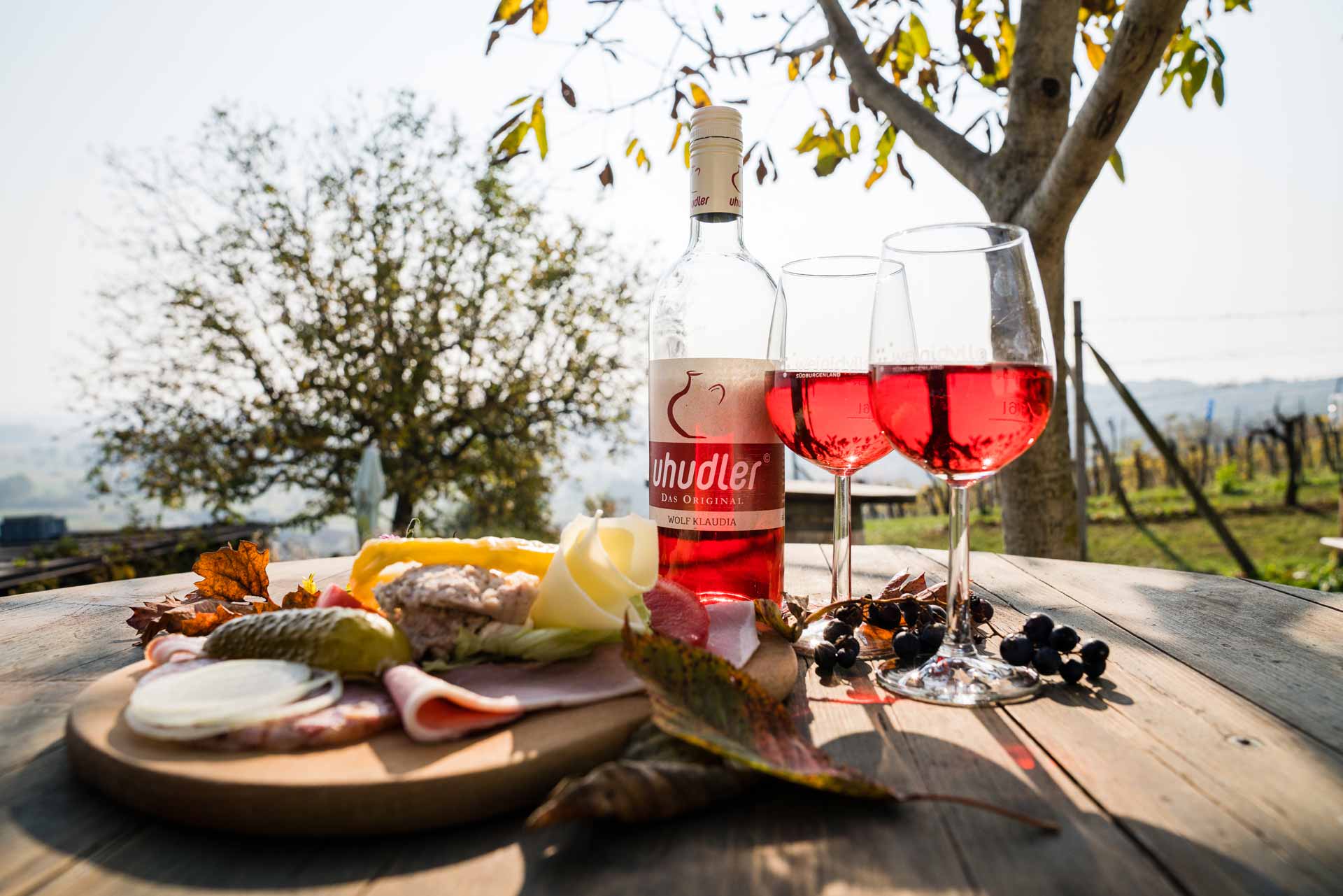Urlaub im Burgenland - Finy Homes